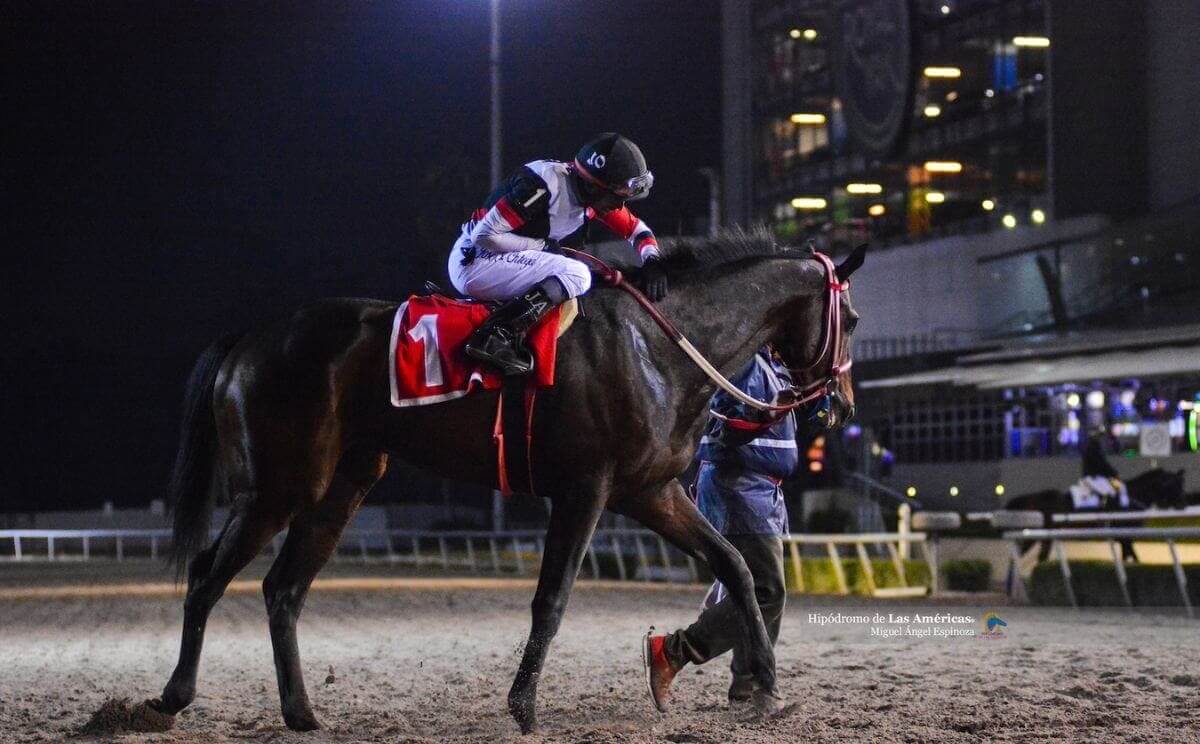 La tradición de las carreras en los casinos mexicanos